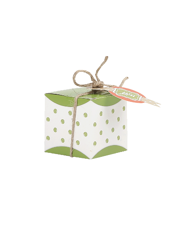 Scatolina Quadrata piccola Pois Verde con targhettina