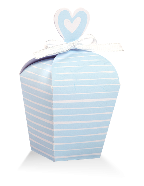 New Pack Celeste Medio righe orrizzontali